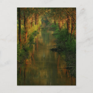 Ljubljana Moors Postcard