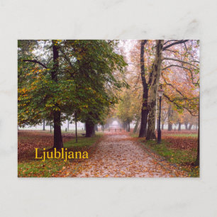 Ljubljana postcard