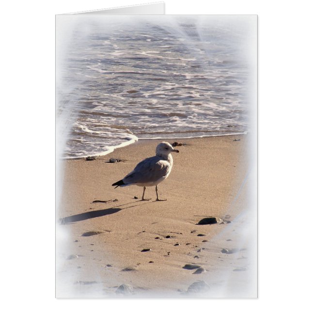 Lkes Long Walks on the Beach... (Front)