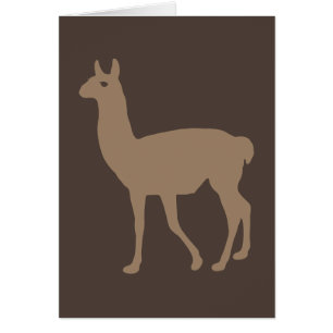 Llama