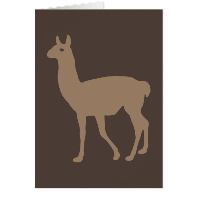 Llama (Front)