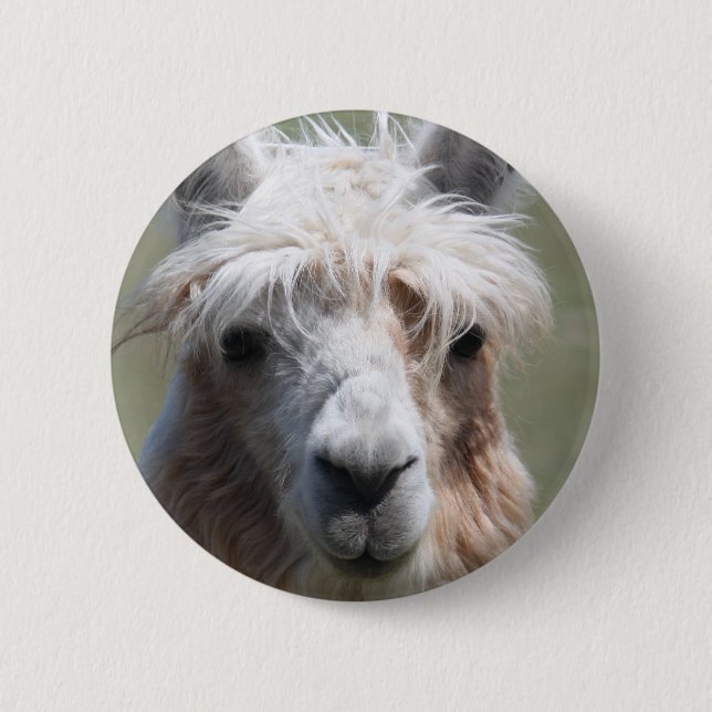 Llama 6 Cm Round Badge (Front)