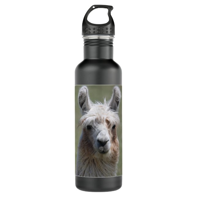 Llama 710 Ml Water Bottle (Front)
