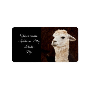 LLama address labels