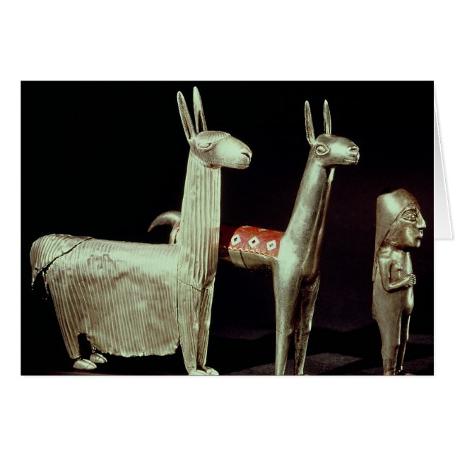 Llama, alpaca and woman (Front Horizontal)
