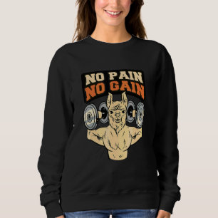Llama Alpaca No Pain No Gain Sweatshirt
