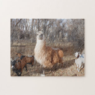 Llama and Goats Jigsaw Puzzle