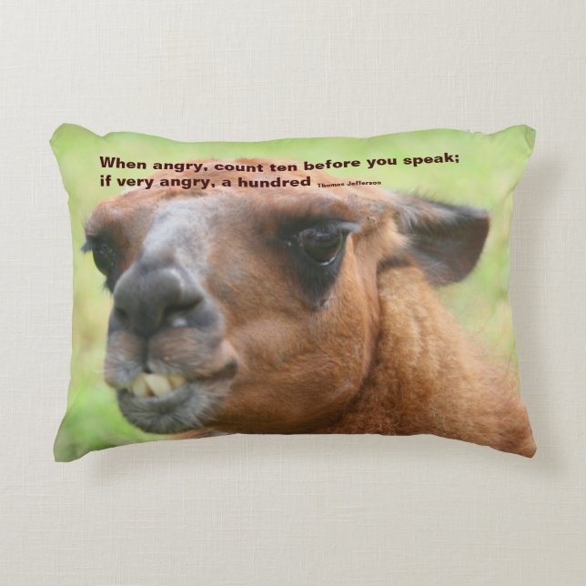 Llama Anger Quote Inspirational  Decorative Cushion (Front)