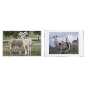 Llama Animal Custom Destiny'S Destiny Pillowcase