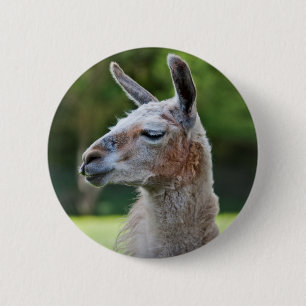 Llama Badge