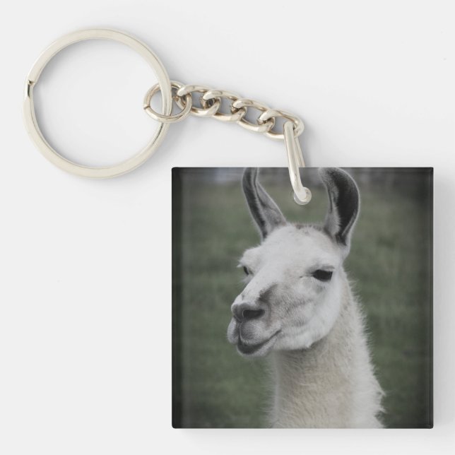 Llama badge key ring (Front)