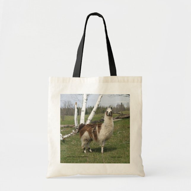 Llama Bag (Front)