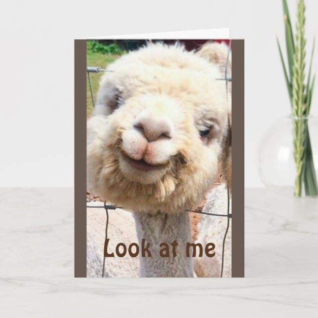 LLAMA CAN'T BELIEVE IT!!! YOU CAN'T BE "40" CARD (Front)