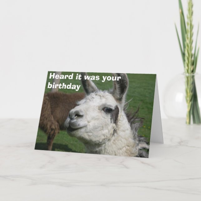Llama Card (Front)