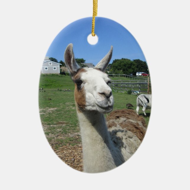 Llama Ceramic Tree Decoration (Front)