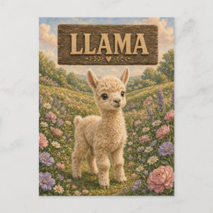 Llama Cute Baby Storybook Nursery Animal Postcard
