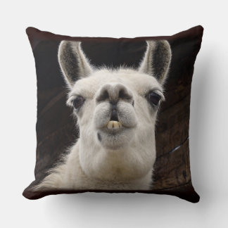 Llama Drama – I've Got My Eye On You Cushion