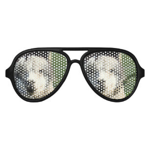 Llama Face Aviator Sunglasses