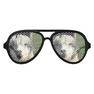 Llama Face Aviator Sunglasses