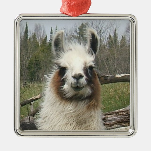 LLAMA FACE METAL TREE DECORATION (Front)