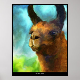 Llama Fine Art Print