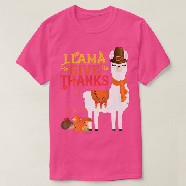 Llama Give Thanks Funny Llama Pilgrim thanksgiving T-Shirt (Design Front)