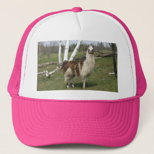 Llama Hat