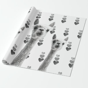 Llama hearts gift wrap