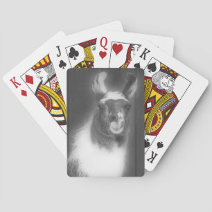 Llama In Black And White Farm Animal  Playing Cards