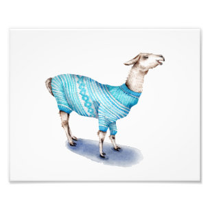 Llama in Blue Sweater Photo Print