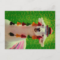 Llama in Chiloe-Chile with ornaments