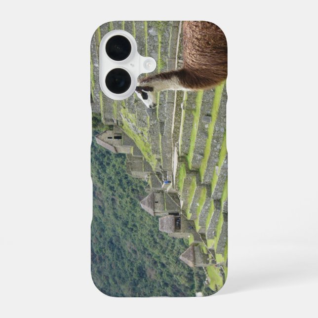 llama iPhone 16 case (Back)