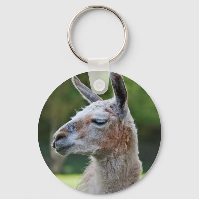 Llama Keyring (Front)