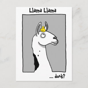 Llama Llama duck Postcard