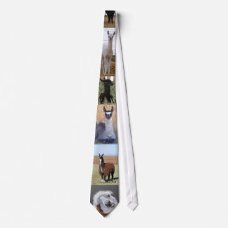 Llama, Llama, Llama Tie