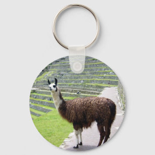 llama looks key ring