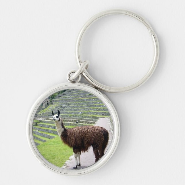 llama looks key ring (Front)