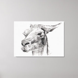 Llama Love Canvas Print