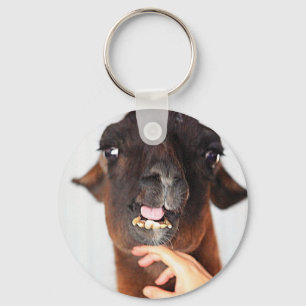 Llama Love Key Ring