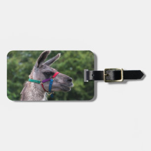 Llama Luggage Tag