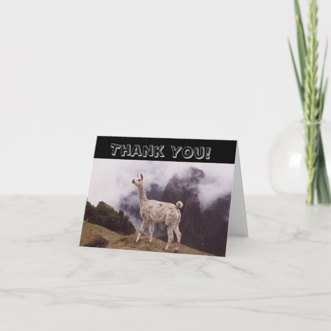 Llama Machi Picchu Peru Mountain Thank You Card (Front)