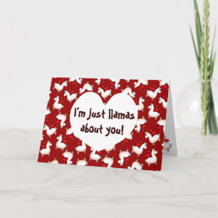 Llama Madness Holiday Card