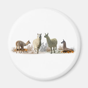 Llama Meadow Magnet (choose colour)