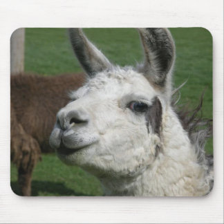 Llama Mouse Pad