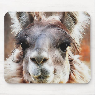 Llama Mouse Pad