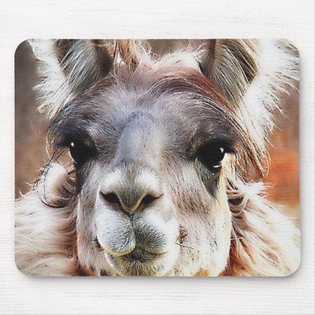 Llama Mouse Pad (Front)