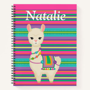 Llama Notebook