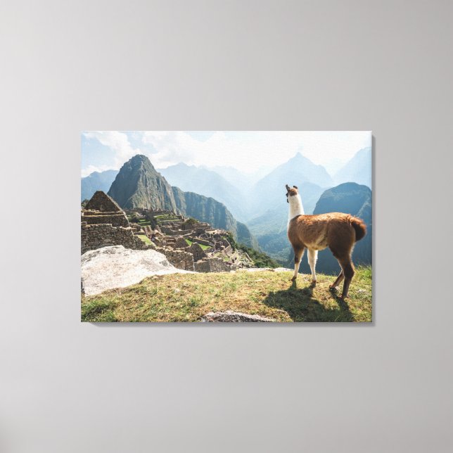 Llama Overlooking Ruins | Machu Picchu, Peru Canvas Print (Front)