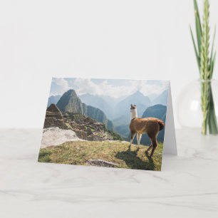 Llama Overlooking Ruins Machu Picchu, Peru Card