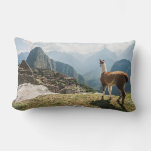 Llama Overlooking Ruins   Machu Picchu, Peru Lumbar Cushion